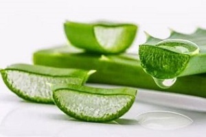aloe para o tratamento da prostatite