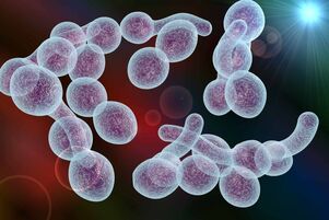 axente causante da prostatite bacteriana nos homes
