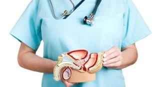 Características de terapia